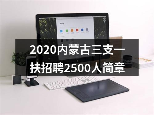 2020内蒙古三支一扶招聘2500人简章 图片