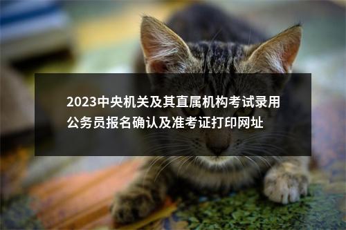 2023中央机关及其直属机构考试录用公务员报名确认及准考证打印网址 图片
