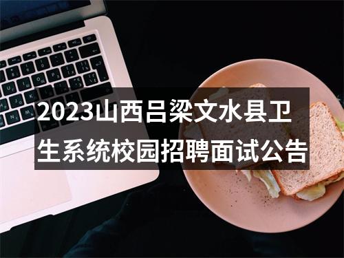 2023山西吕梁文水县卫生系统校园招聘面试公告 图片