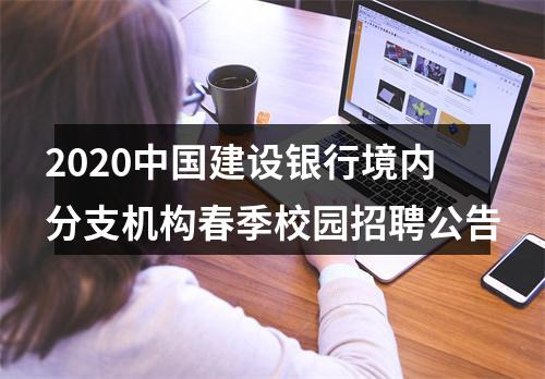 2020中国建设银行境内分支机构春季校园招聘公告 图片